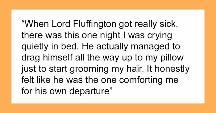 “It Was Kinda Spooky TBH”: 51 Times People Pets Acted Suspiciously Like Humans