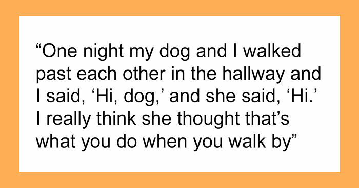 “It Was Kinda Spooky TBH”: 51 Times People Pets Acted Suspiciously Like Humans