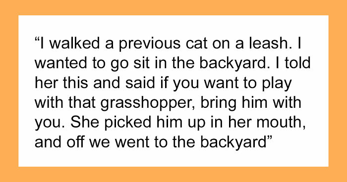 “It Was Kinda Spooky TBH”: 51 Times People Pets Acted Suspiciously Like Humans