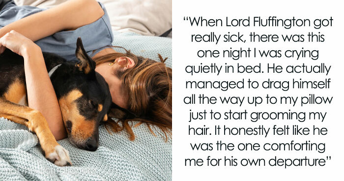 “It Was Kinda Spooky TBH”: 51 Times People Pets Acted Suspiciously Like Humans