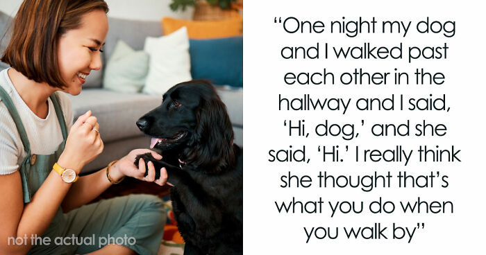 “It Was Kinda Spooky TBH”: 51 Times People Pets Acted Suspiciously Like Humans