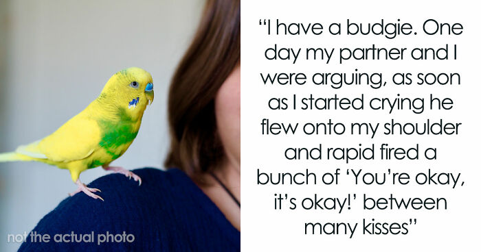 “It Was Kinda Spooky TBH”: 51 Times People Pets Acted Suspiciously Like Humans