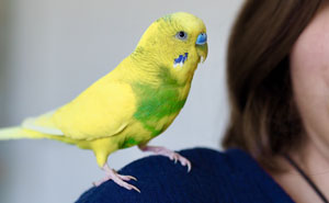 “It Was Kinda Spooky TBH”: 51 Times People Pets Acted Suspiciously Like Humans