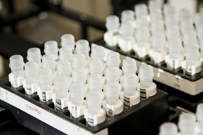 Multiple DNA test sample tubes organized in racks, used for discovering unexpected genetic ancestry results.