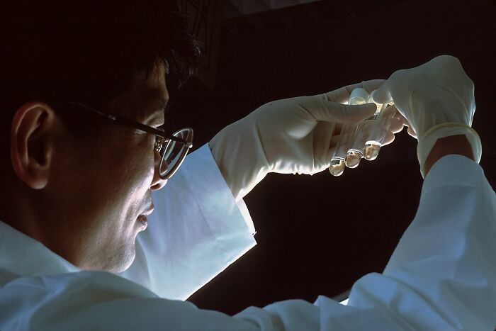 Scientist in gloves examining liquid-filled test tubes, representing jobs AI can’t touch in skilled research fields.