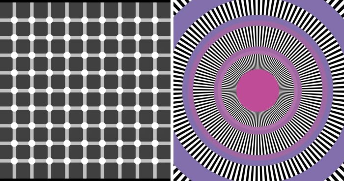 Neuroscience Unplugged: The Ultimate Roundup Of Brain-Bending Optical Illusions