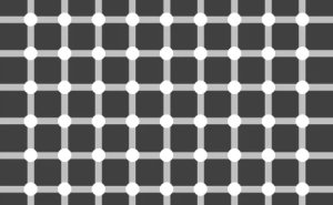 Neuroscience Unplugged: The Ultimate Roundup Of Brain-Bending Optical Illusions