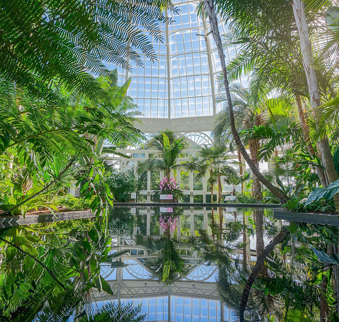Lush tropical plants inside New York Botanical Garden greenhouse with sunlight streaming through glass ceiling and reflecting in water. Lush tropical plants inside New York Botanical Garden greenhouse with sunlight streaming through glass ceiling and reflecting in water.