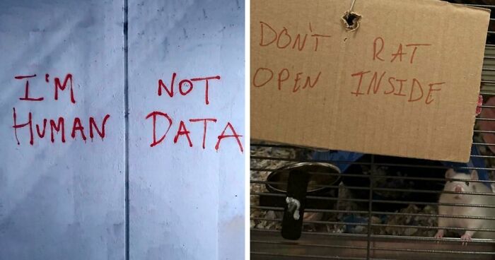 81 Times People Didn’t Think Their Message Layout Through And It Resulted In These Fails (New Pics)