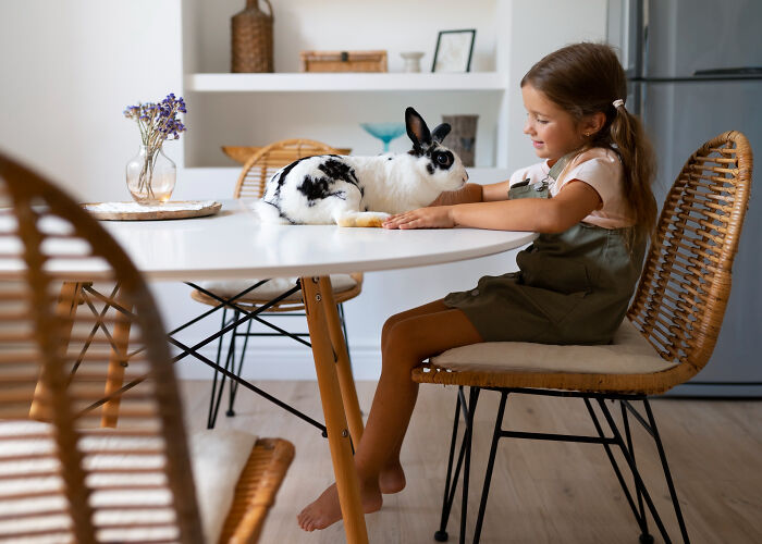 Young girl sitting at a dining table with a black and white rabbit, illustrating childhood norms and memories.