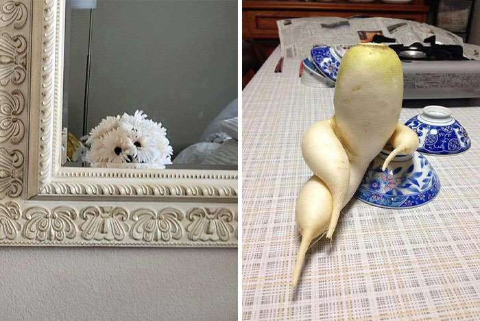 This Page Shared 60 Funny Pareidolia Pics That Prove Even Random Objects Have Personality