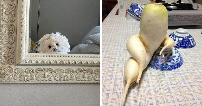 This Page Shared 60 Funny Pareidolia Pics That Prove Even Random Objects Have Personality