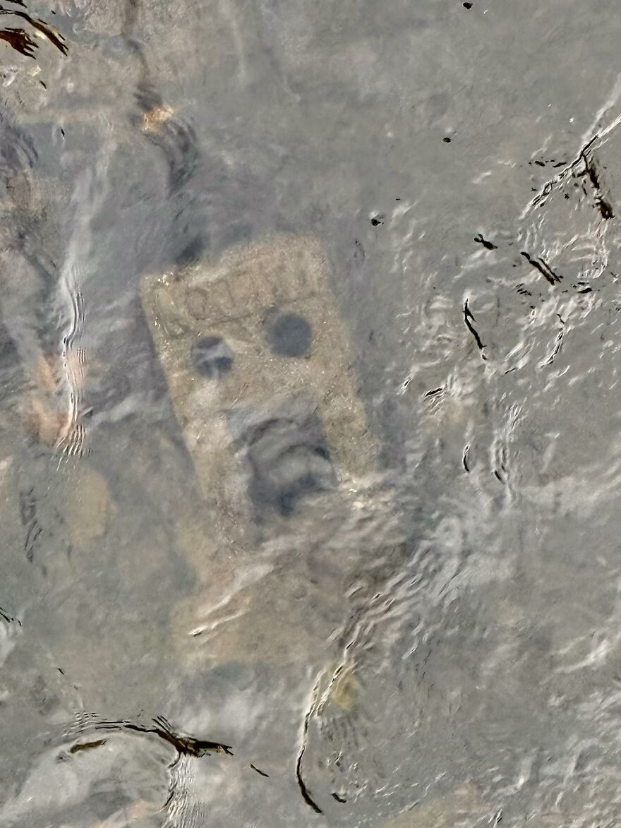 A face shape formed by natural patterns on a submerged object creating a pareidolia effect in water.
