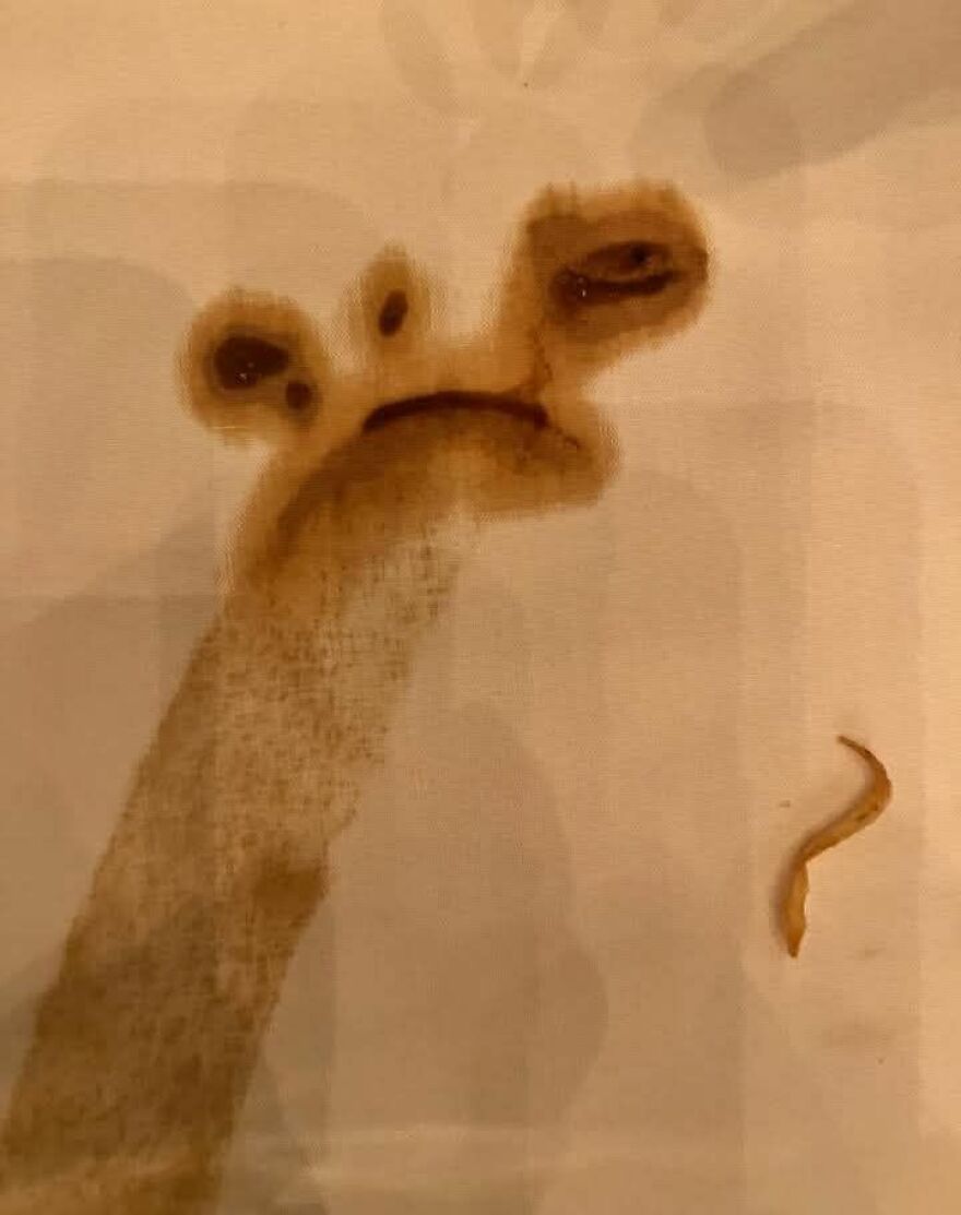 Brown stain on fabric resembling a giraffe, an example of pareidolia that makes people see familiar shapes in random patterns.