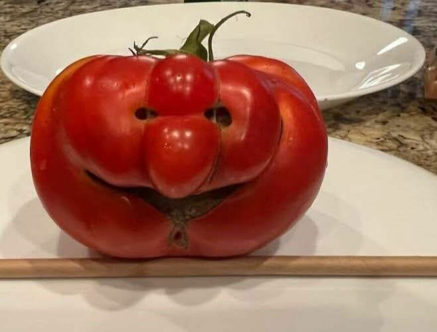 Tomato appearing to have a smiling face, an example of pareidolia caught in a photograph on a kitchen countertop.