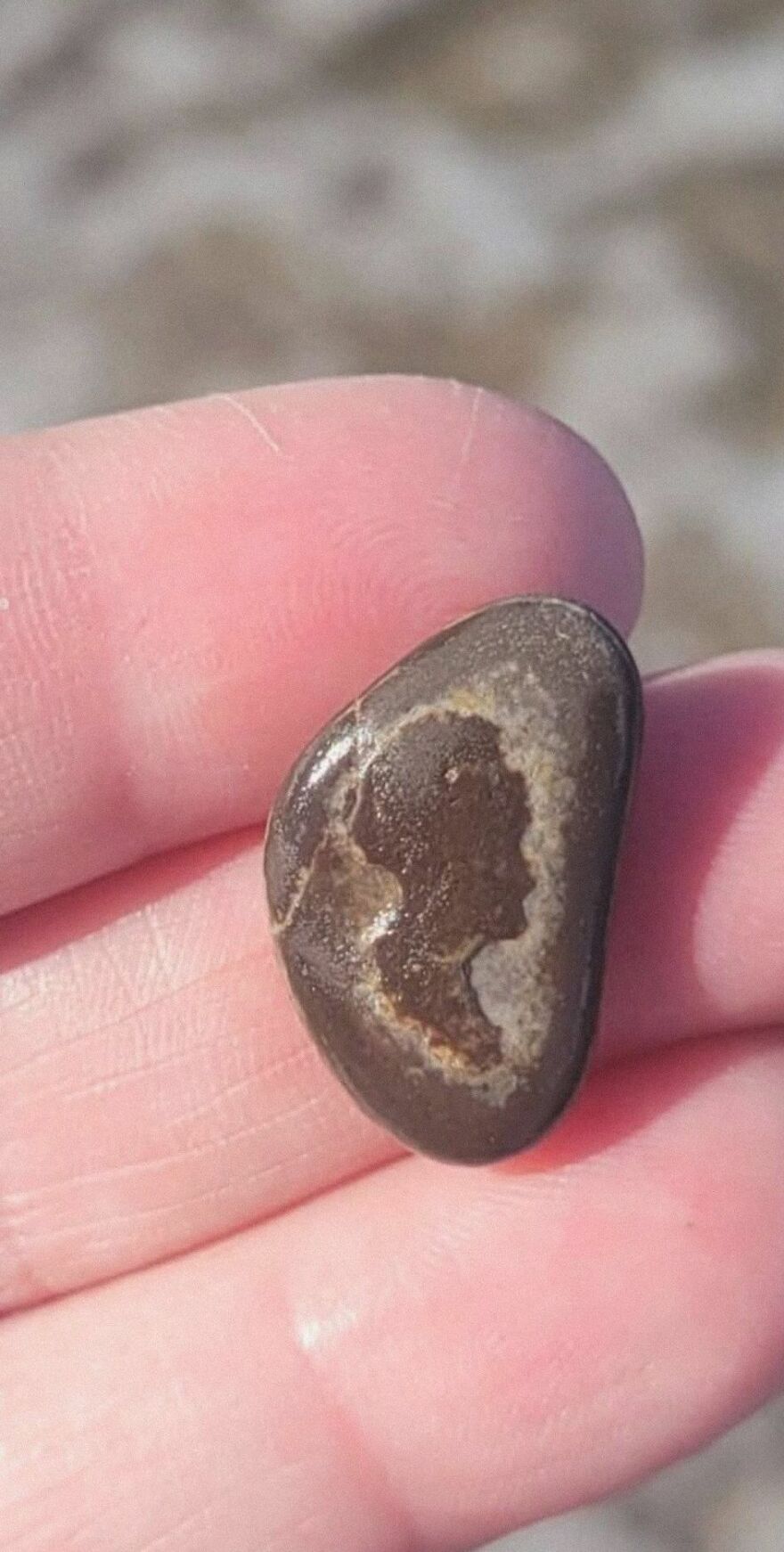 Small dark stone with a natural pattern resembling a human profile held between fingers, an example of pareidolia.