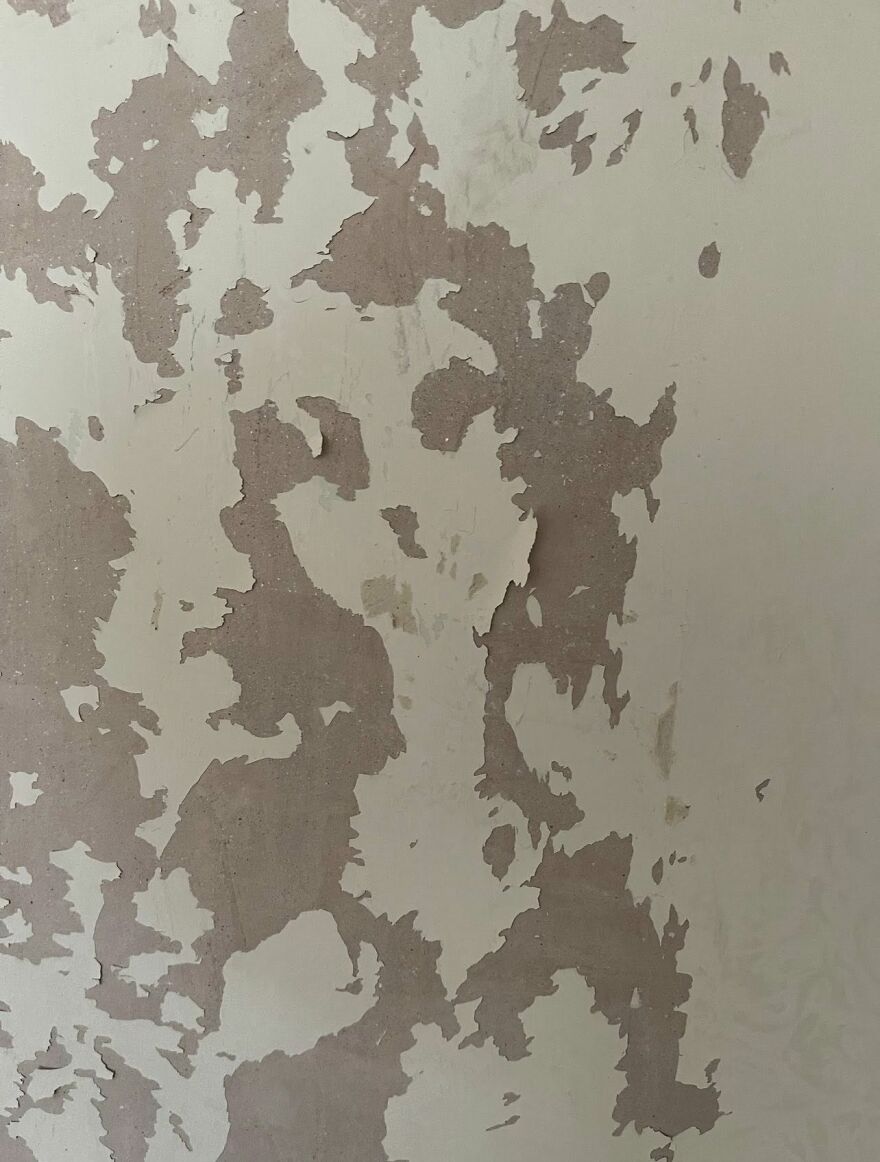 Peeling wall paint resembling shapes and figures, showcasing a striking example of pareidolia in everyday surroundings.