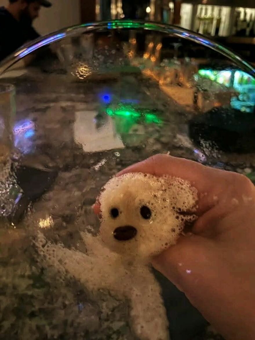 Foam bubbles shaped like a dog’s face held in a hand, showcasing a clear example of pareidolia in everyday life.