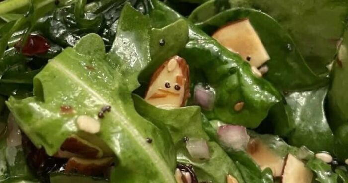 81 Times People Experienced Pareidolia And Took A Picture For Everyone To See (New Pics)
