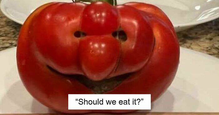 81 Times People Experienced Pareidolia And Took A Picture For Everyone To See (New Pics)