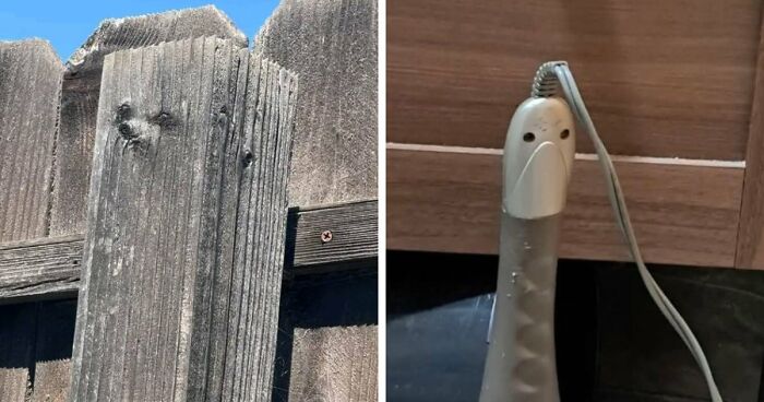 81 Times People Experienced Pareidolia And Took A Picture For Everyone To See (New Pics)