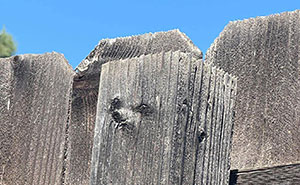 81 Photos Of The Most Random Things In The World That Humans Can See A Face In (New Pics)