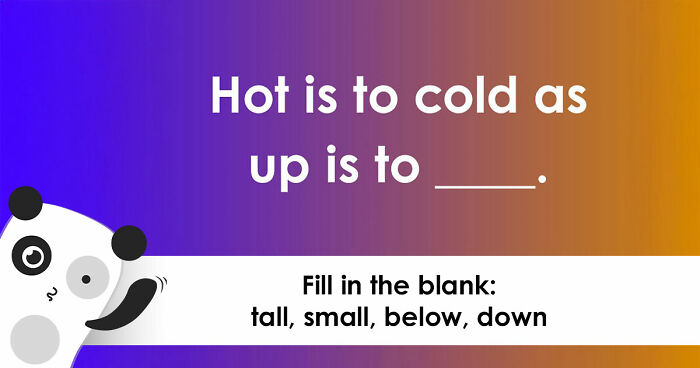 Take This 16-Question Cognitive Ability Test & Prove You Have Great Logical Deduction Skills