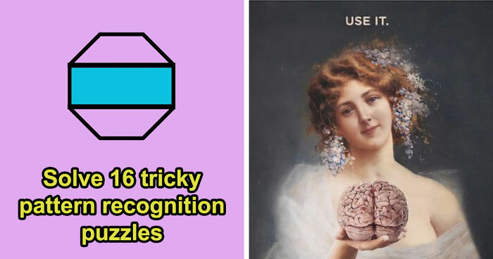 Take This 16-Question Cognitive Ability Test & Prove You Have Great Logical Deduction Skills