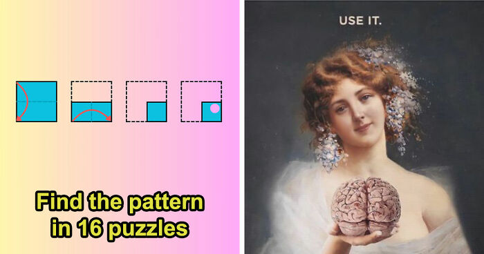 Take This 16-Question Cognitive Ability Test & Prove You Have Great Logical Deduction Skills