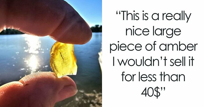 85 Times The Internet Helped People Understand The True Value Of Their Unusual Possessions