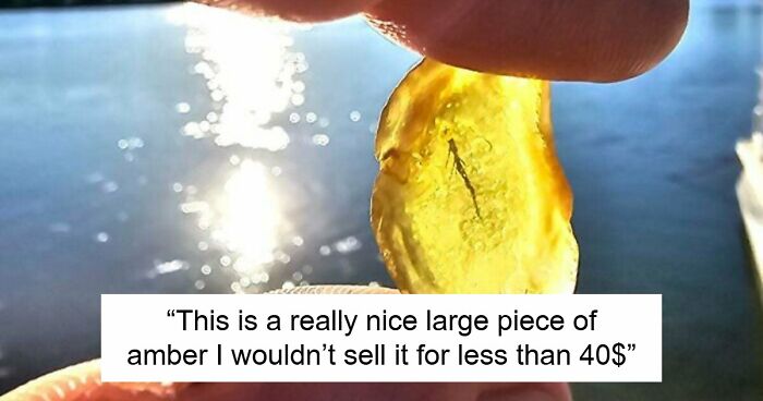 85 Times The Internet Helped People Understand The True Value Of Their Unusual Possessions
