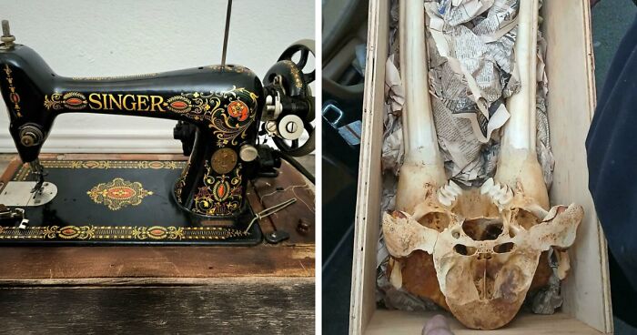85 Times The Internet Helped People Understand The True Value Of Their Unusual Possessions