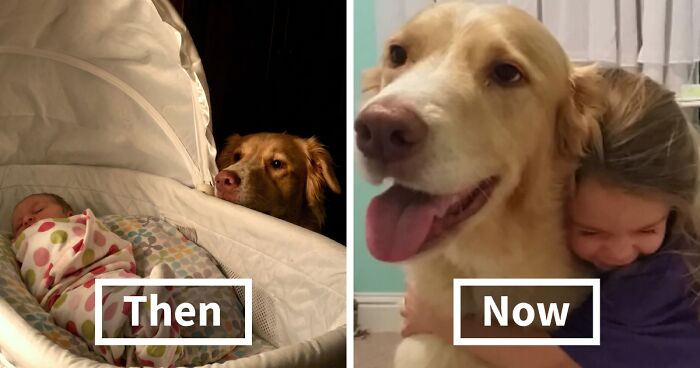 60 Precious Photos Of Pets Who Have Grown Up Alongside Their Owners (New Pics)