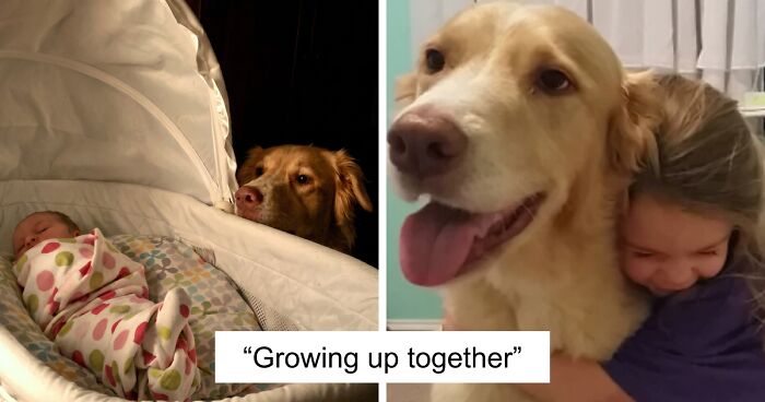 60 Precious Photos Of Pets Who Have Grown Up Alongside Their Owners (New Pics)