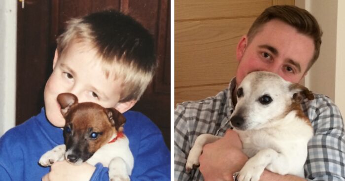 60 Precious Photos Of Pets Who Have Grown Up Alongside Their Owners (New Pics)
