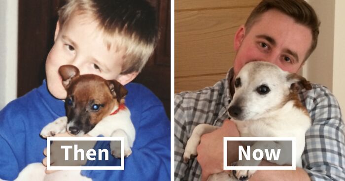 60 Precious Photos Of Pets Who Have Grown Up Alongside Their Owners (New Pics)