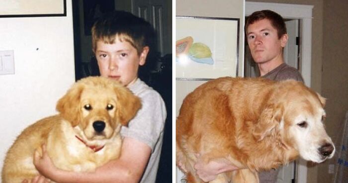 60 Precious Photos Of Pets Who Have Grown Up Alongside Their Owners (New Pics)
