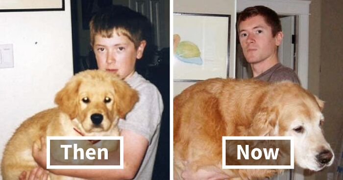 60 Precious Photos Of Pets Who Have Grown Up Alongside Their Owners (New Pics)