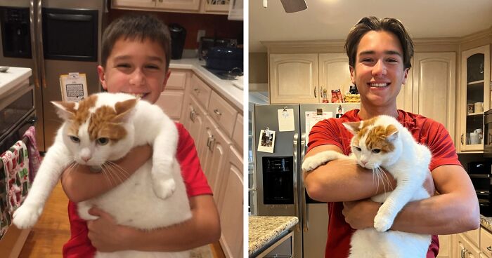 60 Precious Photos Of Pets Who Have Grown Up Alongside Their Owners (New Pics)