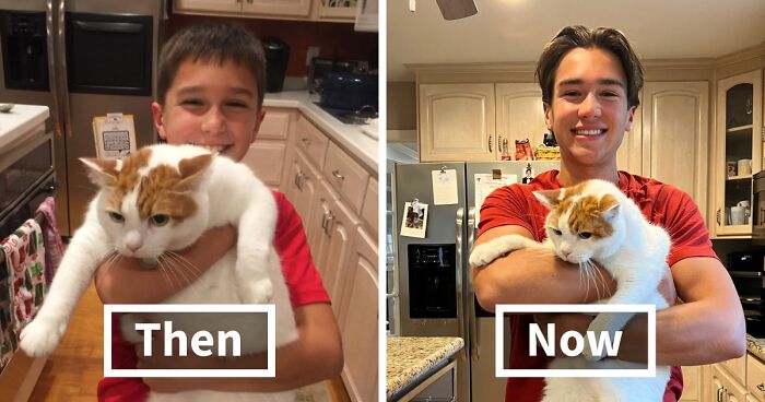 60 Precious Photos Of Pets Who Have Grown Up Alongside Their Owners (New Pics)