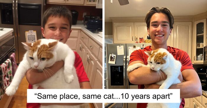 60 Precious Photos Of Pets Who Have Grown Up Alongside Their Owners (New Pics)