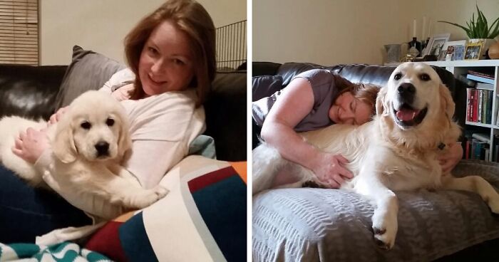 60 Precious Photos Of Pets Who Have Grown Up Alongside Their Owners (New Pics)