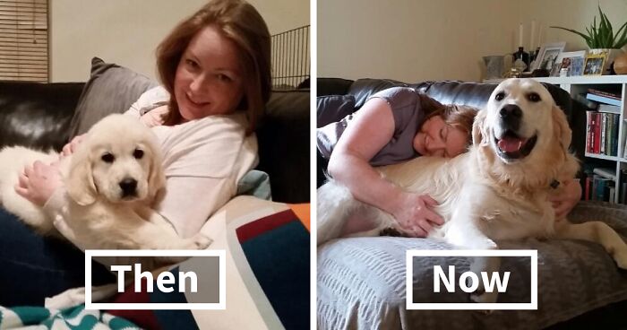 60 Precious Photos Of Pets Who Have Grown Up Alongside Their Owners (New Pics)