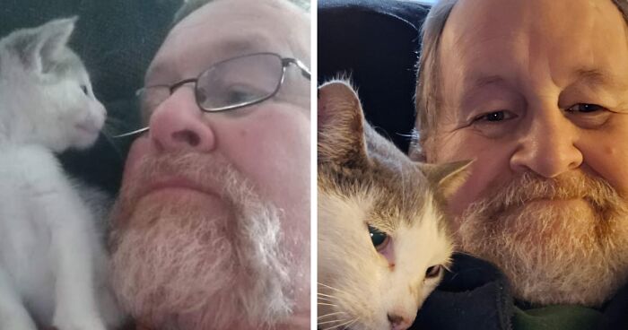 60 Precious Photos Of Pets Who Have Grown Up Alongside Their Owners (New Pics)