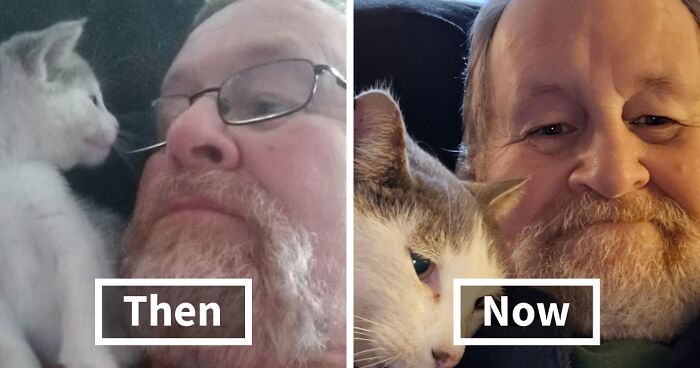 60 Precious Photos Of Pets Who Have Grown Up Alongside Their Owners (New Pics)