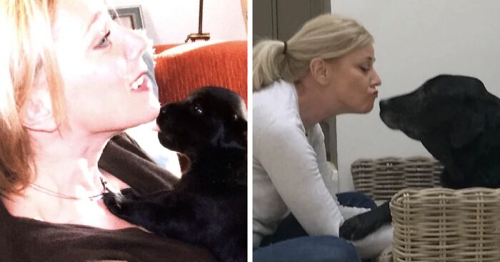 60 Precious Photos Of Pets Who Have Grown Up Alongside Their Owners (New Pics)