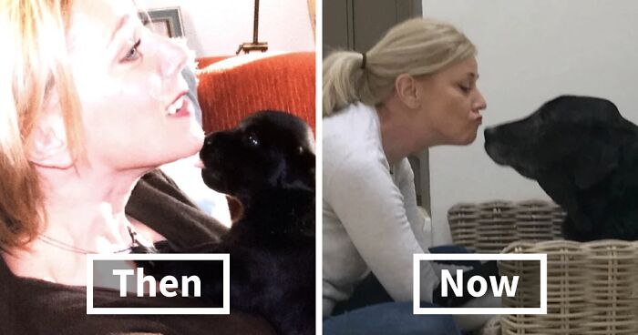 60 Precious Photos Of Pets Who Have Grown Up Alongside Their Owners (New Pics)