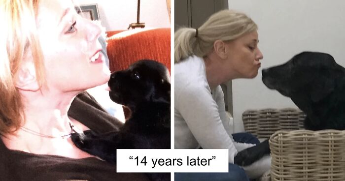 60 Precious Photos Of Pets Who Have Grown Up Alongside Their Owners (New Pics)