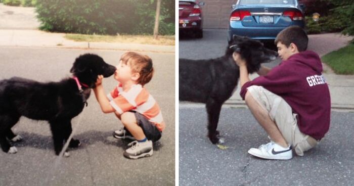 60 Precious Photos Of Pets Who Have Grown Up Alongside Their Owners (New Pics)