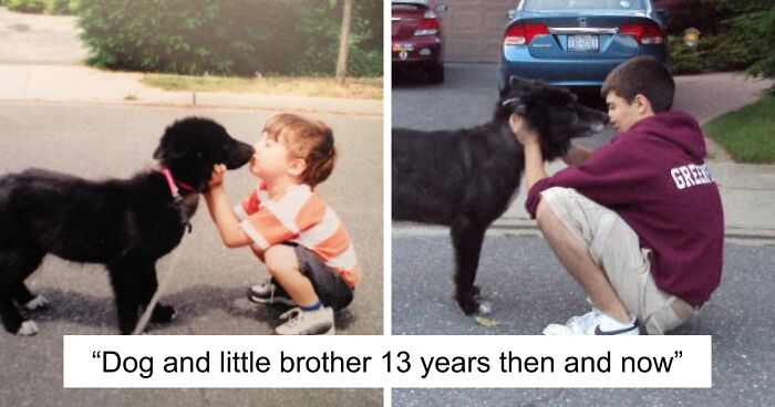 60 Precious Photos Of Pets Who Have Grown Up Alongside Their Owners (New Pics)